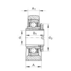直立式軸承座單元 RASEA25-N, 鑄鐵軸承座，帶緊定套的外球面球軸承，R 型密封