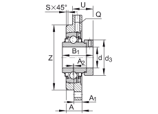 軸承座單元 RMEO100, 帶四個(gè)螺栓孔的法蘭的軸承座單元，鑄鐵，定心凸出物，偏心鎖圈，系列 63，R密封