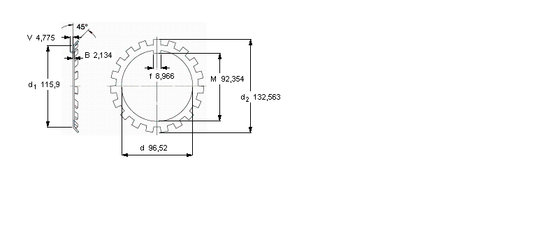 SKF W鎖緊墊圈, 英制尺寸W19樣本圖片