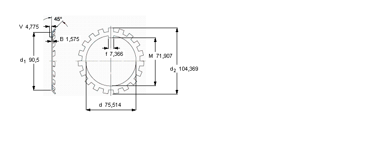 SKF W鎖緊墊圈, 英制尺寸W15樣本圖片