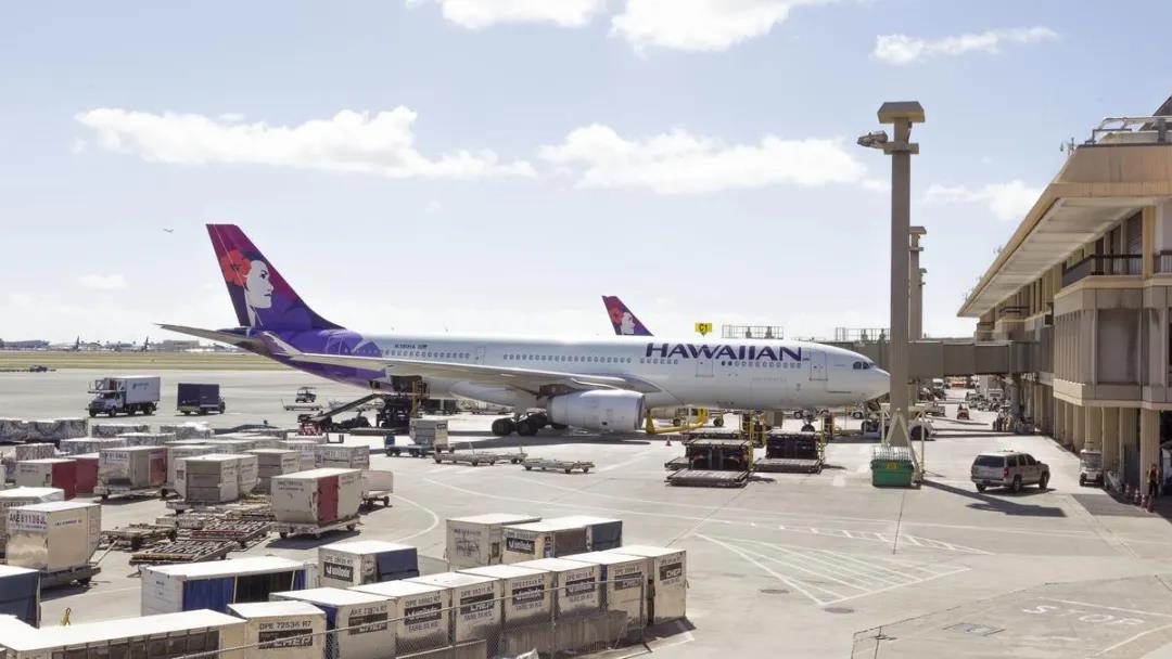 暫停所有進出港航班！以色列爆發(fā)大規(guī)模抗議……