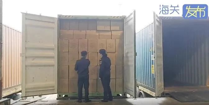 巨額罰款！20噸